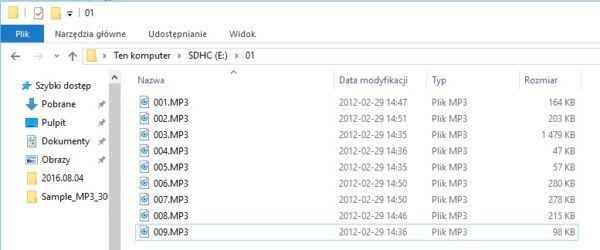 Modul glosowy replikator dzwieku glosu smart home inteligentny dom